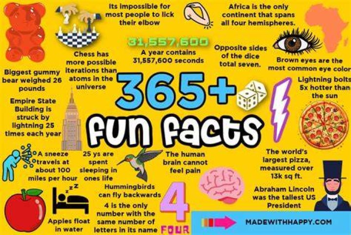 13 Interesting Things You Might Not Know About Bergerac I Heart