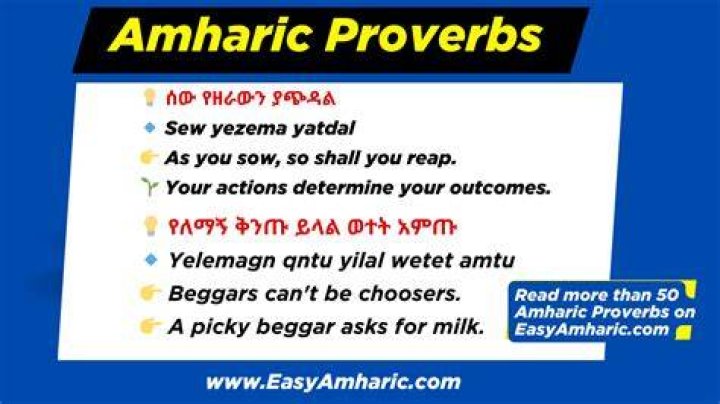 Amharic Proverbs: A Collection Of Timeless Wisdom