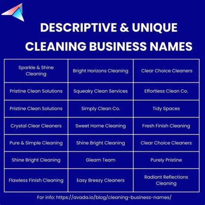 Captivating Cleaning Business Names That Reflect Your Expertise