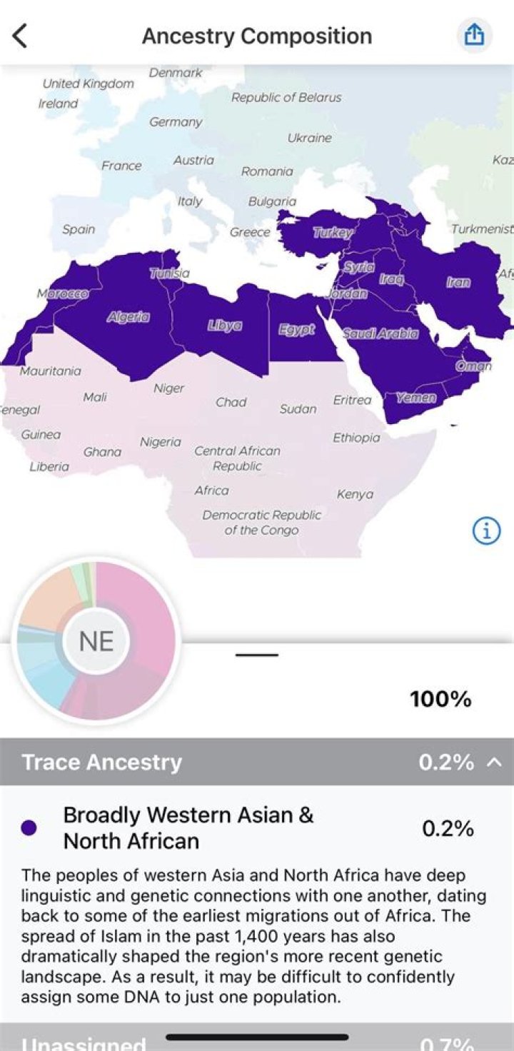 Explore Saweetie's Diverse Ancestry: Her Mixed Ethnic Background Revealed