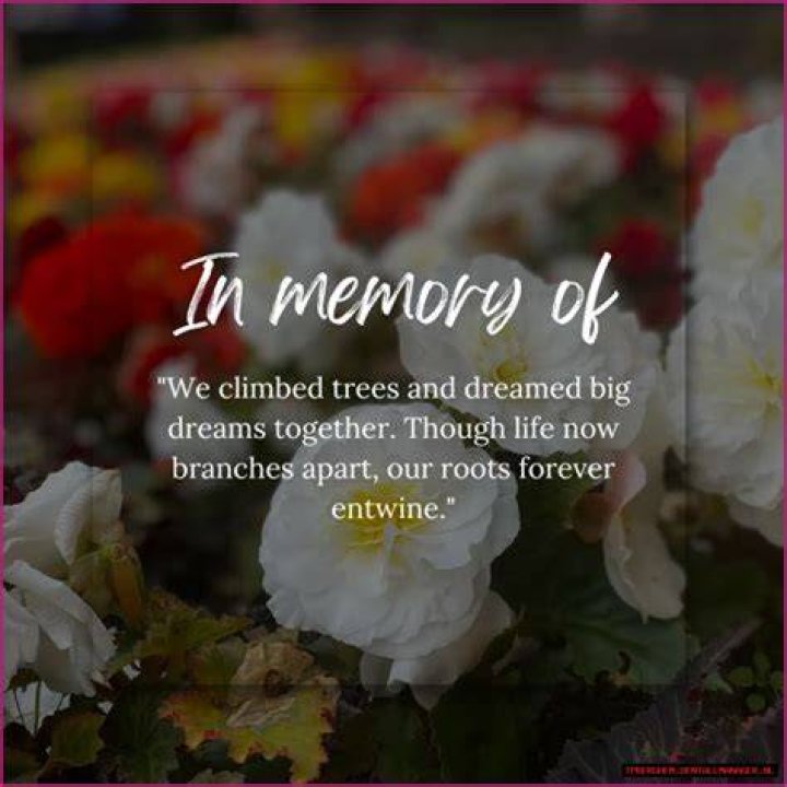 Obituary Of Dustin Norris: Remembering A Life Well-Lived