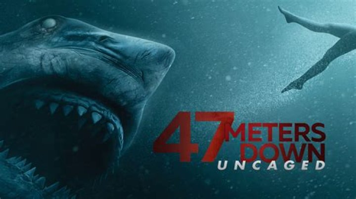 Review 47 Meters Down Uncaged &mdash; The Daily JAWS
