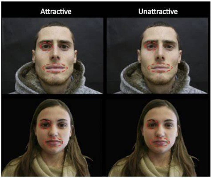 The Ultimate Guide To Understanding Unattractive Facial Features