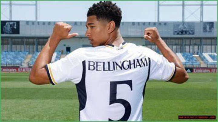 Uncover The Exact Height Of Bellingham In Centimeters
