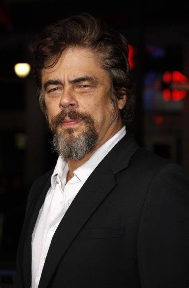 Who are Benicio Del Toro Parents? Meet Gustavo Adolfo del Toro Bermúdez
